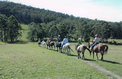 Timbertops - Horse Riding - Accommodation Nelson Bay 0