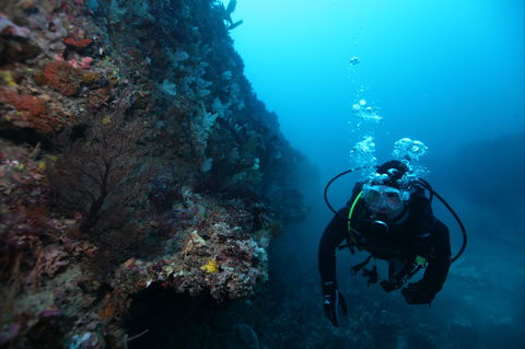 Twelve Apostles Marine National Park - Accommodation Nelson Bay 0