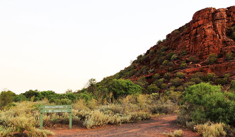 Whyalla Conservation Park - Accommodation Nelson Bay 0