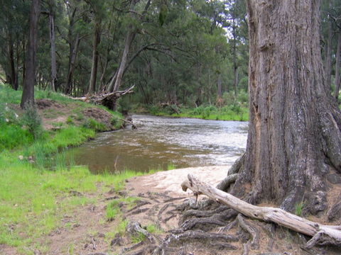 Bangadilly National Park - Accommodation Nelson Bay 0