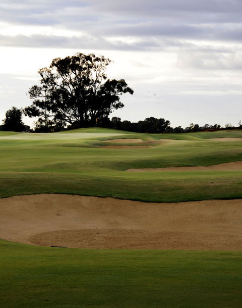 Black Bull Golf Course - Accommodation Nelson Bay 1