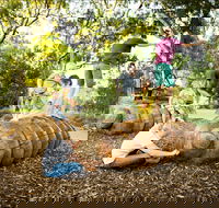 Bonython Park/Tulya Wodli - Accommodation Nelson Bay