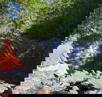 Booloumba Falls Walk Conondale National Park - Accommodation Nelson Bay
