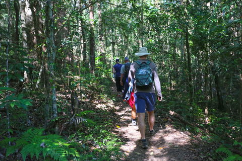 Booloumba Falls Walk, Conondale National Park - Accommodation Nelson Bay 1