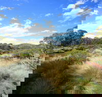 Bullocks walking track - Accommodation Nelson Bay