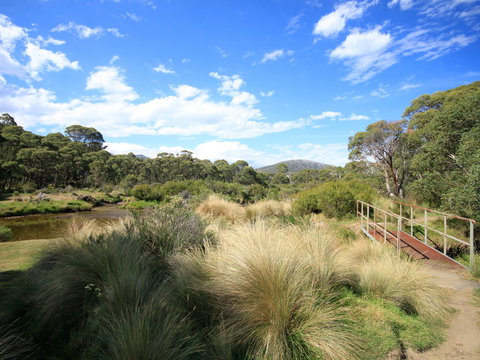 Bullocks Walking Track - Accommodation Nelson Bay 0