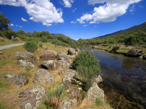 Bullocks Walking Track - Accommodation Nelson Bay 1