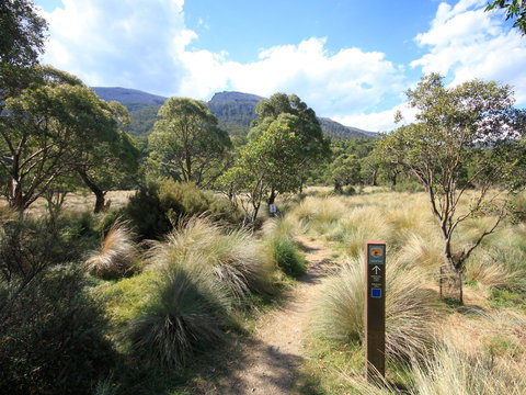 Bullocks Walking Track - Accommodation Nelson Bay 2