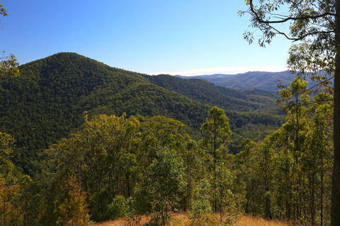 Conondale National Park - Accommodation Nelson Bay 0
