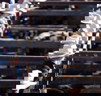 Dalby - Accommodation Nelson Bay