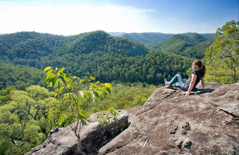 Dubbo Gully Loop Trail - Accommodation Nelson Bay 0