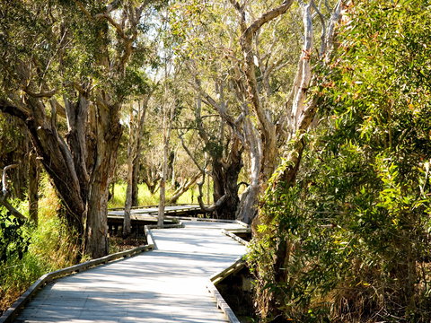 Eagleby Wetlands - Accommodation Nelson Bay 1