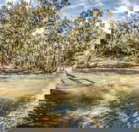 Flea Creek Picnic Area - Accommodation Nelson Bay