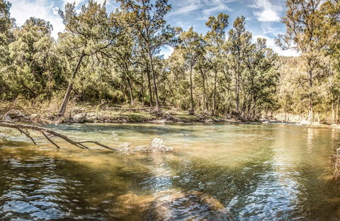 Flea Creek Picnic Area - Accommodation Nelson Bay 0