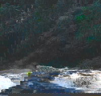 Gardners Falls - Accommodation Nelson Bay
