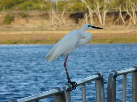 Groper Creek - Accommodation Nelson Bay 0