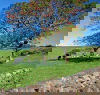 Historic Dry Stone Walls Kiama - Accommodation Nelson Bay