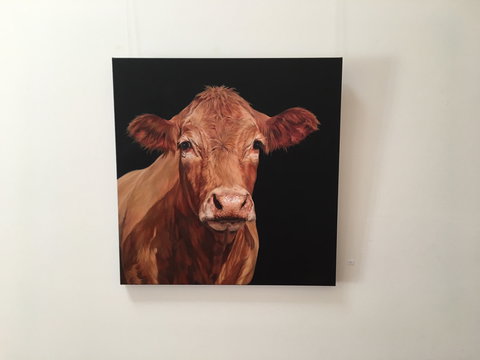 Ivy Hill Gallery - Accommodation Nelson Bay 2