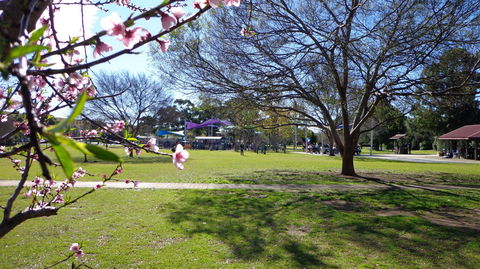 Koshigaya Park - Accommodation Nelson Bay 0
