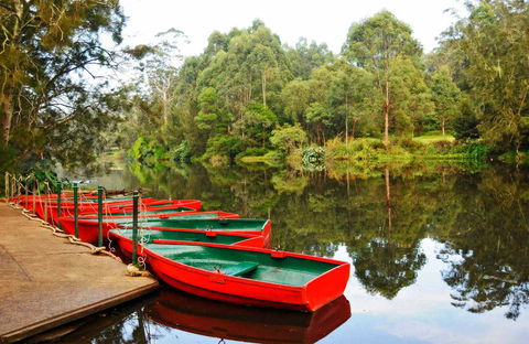 Lane Cove National Park - Accommodation Nelson Bay 0