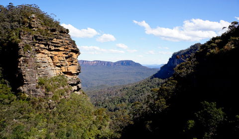 Leura Cascades - Accommodation Nelson Bay 1