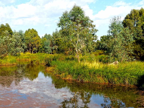 Mansfield Mullum Wetlands - Accommodation Nelson Bay 0