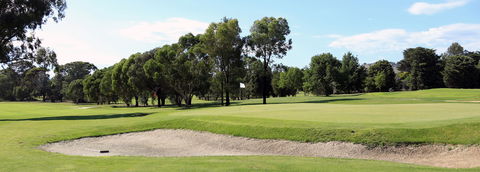 Mansfield Golf Club - Accommodation Nelson Bay 0