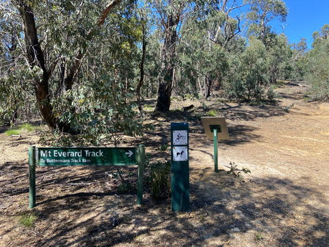 Mt Everard Circuit - Accommodation Nelson Bay 1