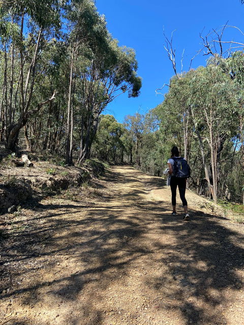 Mt Everard Circuit - Accommodation Nelson Bay 2