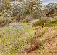 Old Mountain Road Walking Track - Accommodation Nelson Bay