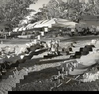 Pioneer Park - Accommodation Nelson Bay