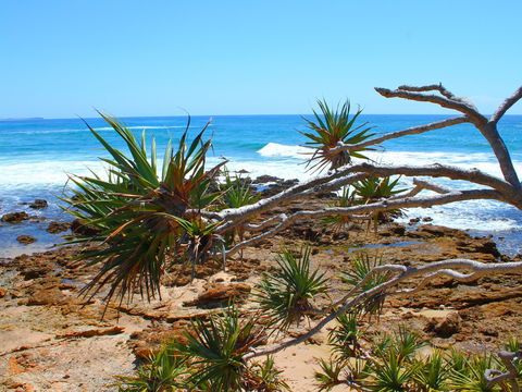 Rocky Point - Accommodation Nelson Bay 1