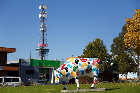Shepparton Tower - Accommodation Nelson Bay 1