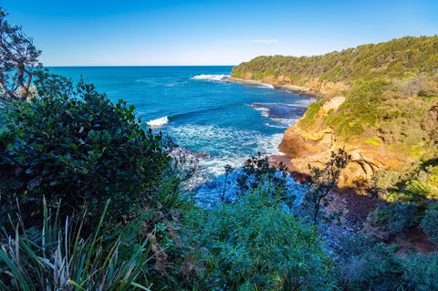 Shellgrit Beach (Red Head) - Accommodation Nelson Bay 0