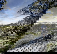 Snow Gums boardwalk - Accommodation Nelson Bay