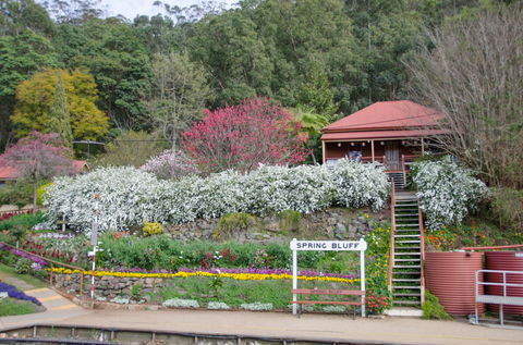 Spring Bluff Railway Station - Accommodation Nelson Bay 1