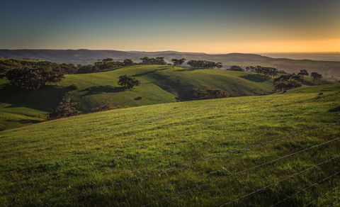 Starfish Hill Windfarm - Accommodation Nelson Bay 1