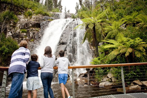 Steavenson Falls - Accommodation Nelson Bay 0