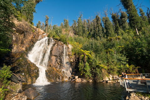 Steavenson Falls - Accommodation Nelson Bay 1