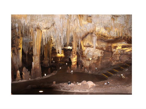 Tantanoola Caves - Accommodation Nelson Bay 1
