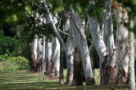 Teven Valley Golf Course - Nelson Bay Accommodation.com 1