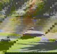The Lions Junction Park - Tumut - Accommodation Nelson Bay