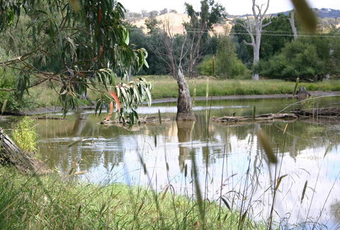 Tumut Wetlands - Accommodation Nelson Bay 0