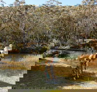 Wild Valley Art Park - Accommodation Nelson Bay