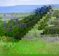 Wild Dog Barrier Fence - Accommodation Nelson Bay