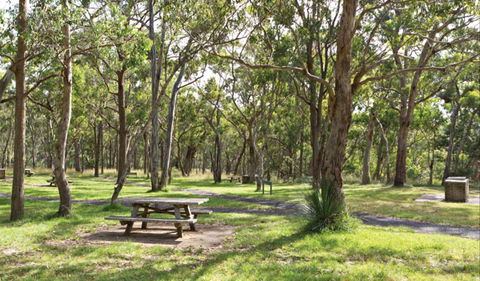 Wollomombi Gorge And Falls Picnic Area - Accommodation Nelson Bay 0
