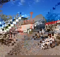 Wowan - Accommodation Nelson Bay