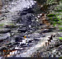 Full-Day Canyoning Experience at Stunning Empress Canyon - Accommodation Nelson Bay
