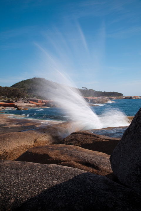 Bicheno Blowhole - Accommodation Nelson Bay 0
