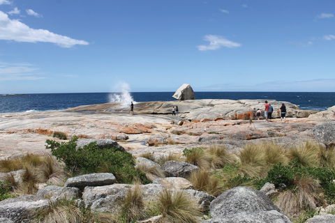 Bicheno Blowhole - Accommodation Nelson Bay 1